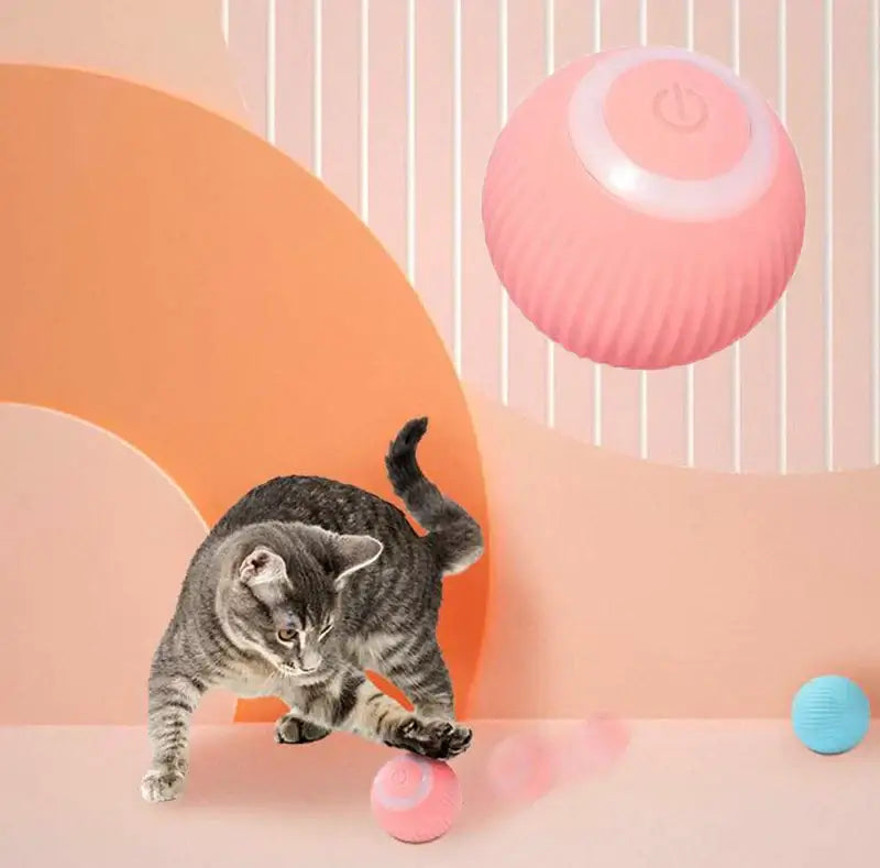 Interactive Ball For Pets