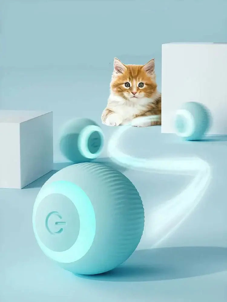 Interactive Ball For Pets