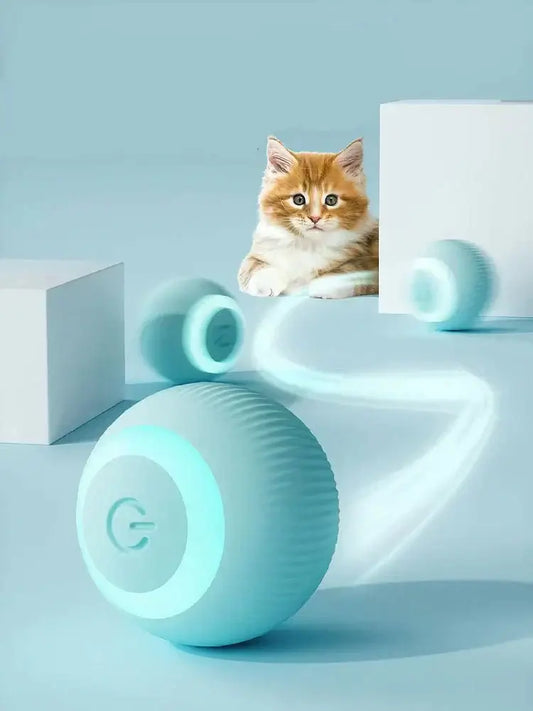 Interactive Ball For Pets