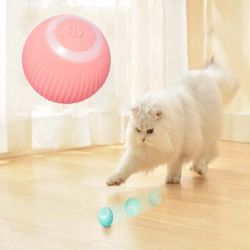 Interactive Ball For Pets