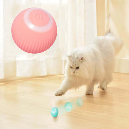 Interactive Ball For Pets
