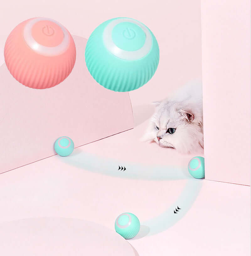 Interactive Ball For Pets